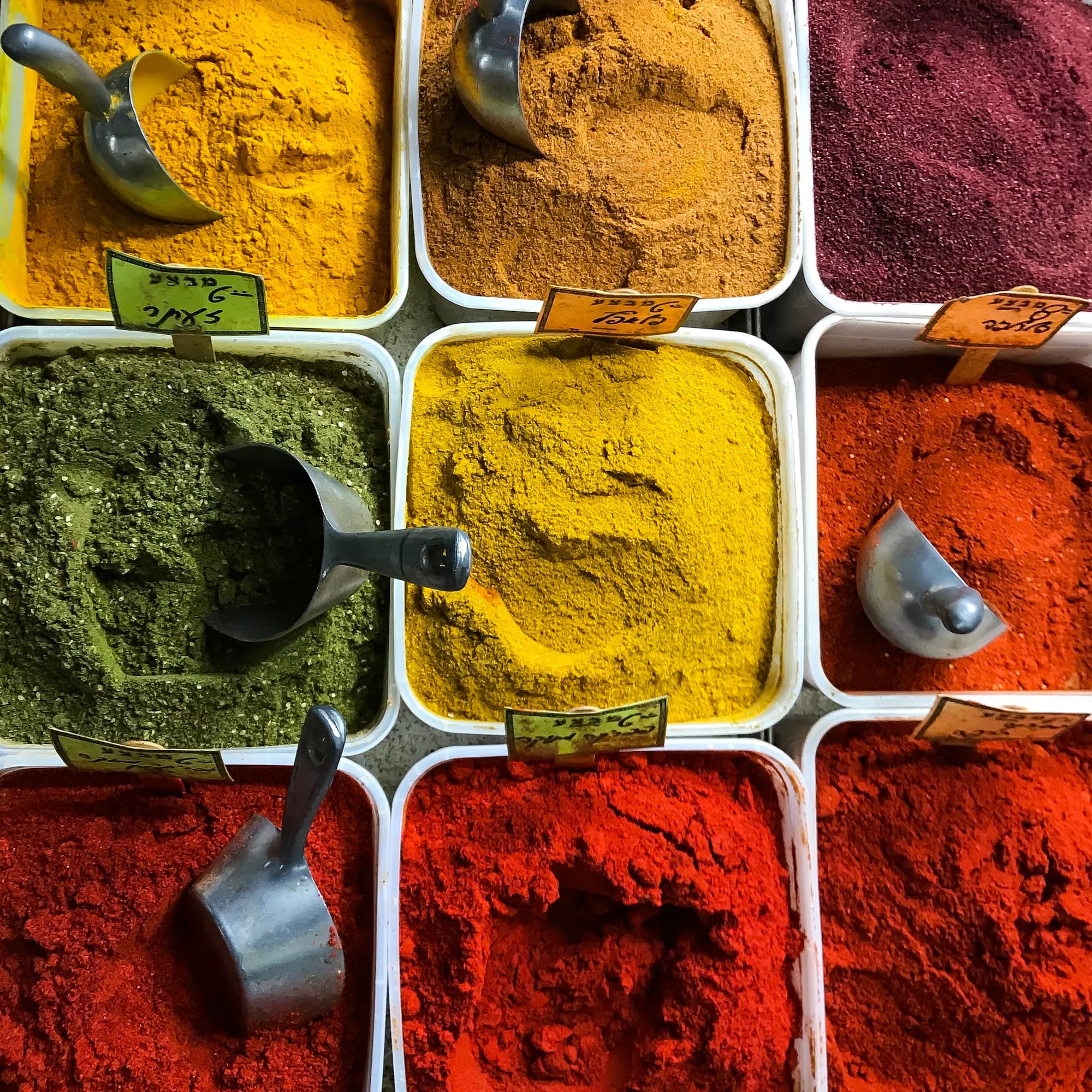 Why Your Gut Is Your Second Brain: The Science of the Gut-Brain Axis