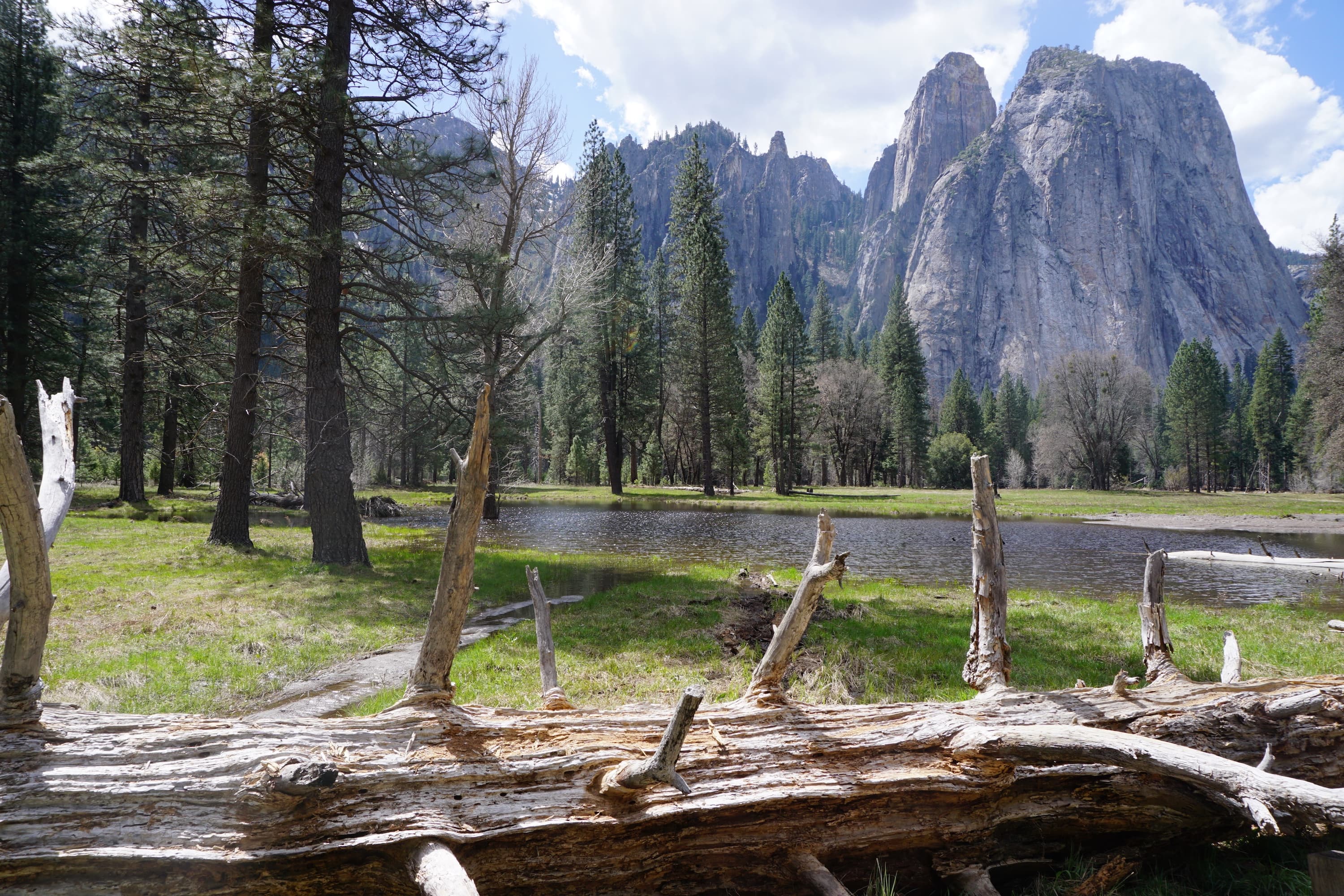 Sleep Is Not Rest: The Neuroscience of What Happens When You Close Your Eyes